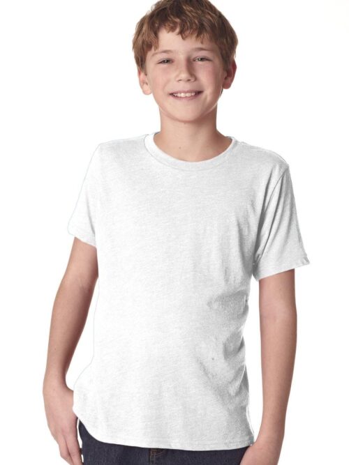Next Level Youth Triblend Crew | N6310