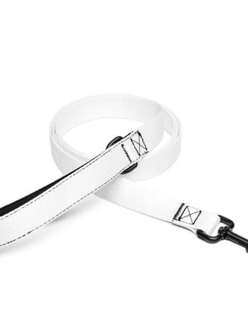 Pet leash